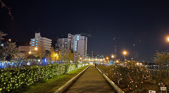 img_4226.jpg