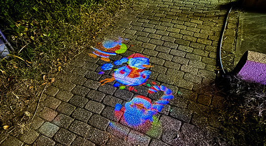 img_4152.jpg