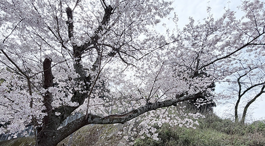 風景写真 伝えたいニッポンの風景：4】zookomi | GENIC編集部 |GENIC｜ジェニック