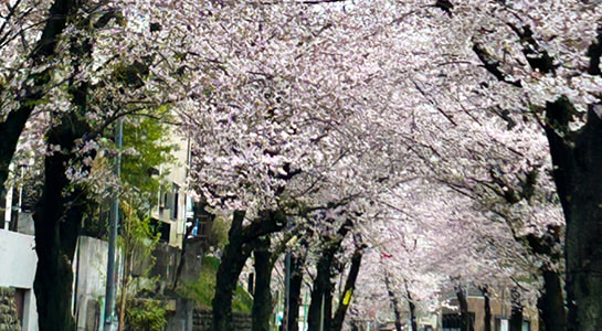 風景写真 伝えたいニッポンの風景：4】zookomi | GENIC編集部 |GENIC｜ジェニック