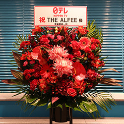 0n7a3388.jpg