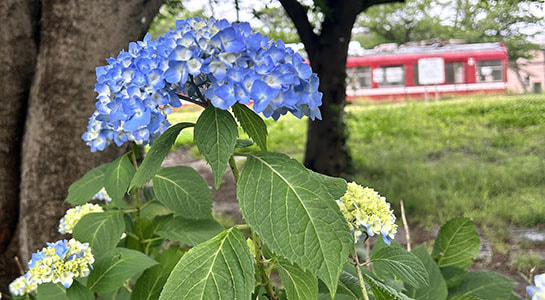 9c366679-bcd3-4e13-a8a4-dc9158fc6c32.jpg